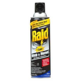 Raid® Wasp & Hornet Insect Spray 14 oz