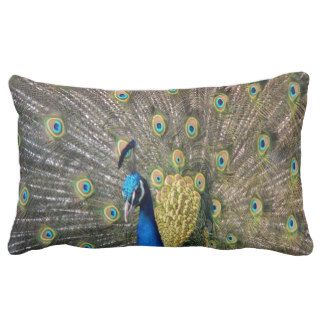 Peacock Beauty peace calm and joy Pillows