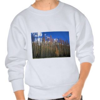 Fire scorched forest in Banff National Park, Alber Pullover Sweatshirt