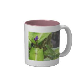 Kauai Hawaii Chameleon Coffee Mug