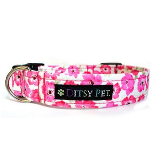 sally floral dog collar by ditsy pet
