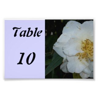 Table Number Flower Photo Print