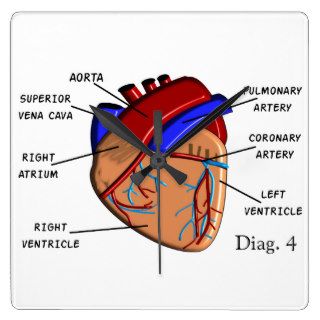 Human Heart Diagram Clock