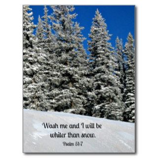 Psalm 517 Wash me and I will be.Post Card