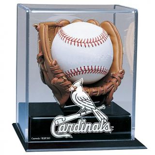 Caseworks MLB Soft Mini Glove Baseball Display Case   St. Louis Cardinals