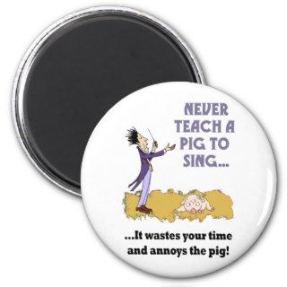 Never Teach A Pig To Sing Magnet