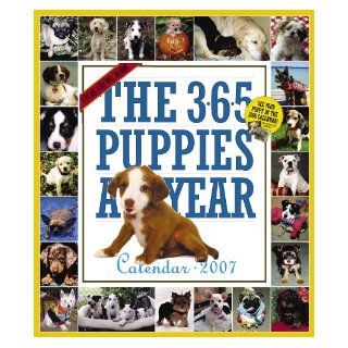 The 365 Puppies A Year Calendar 2007 Workman Publishing 9780761141983 Books