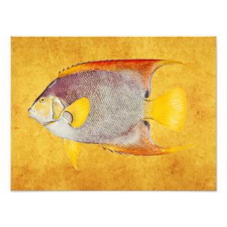 Vintage Angel Fish Antique Hawaiian Print Template Art Photo