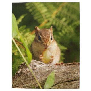 Cute Baby Chipmunk with Snack Puzzle