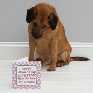 personalised 'from your pet' card by sparks living