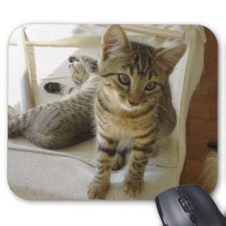 BobCat Mouse Pads