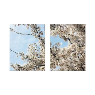 Beautiful Spring Flowering Tree Gallery Wrapped Canvas