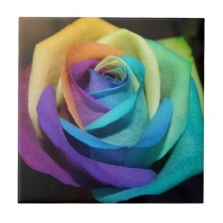 Rainbow Rose Flowers Peace Love Destiny Tile