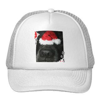Black lab dog nose with santa hat photograph