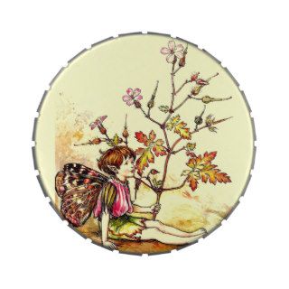 Vintage Cicely Mary Barker Pixie Flower Fairy Candy Tin