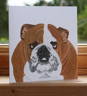 'bulldog' dog card by bird