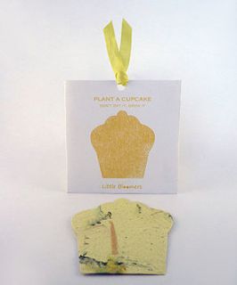 'plant a cupcake' seed paper gift by plant a bloomer