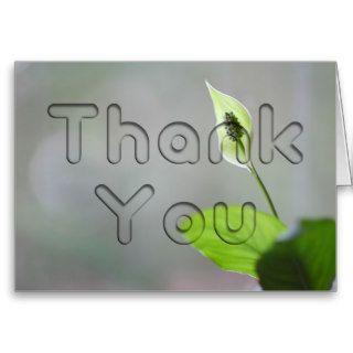 Peace Lily Floral Thank You Cards