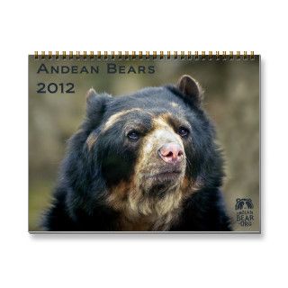 Andean Bears 2012   15 month calendar