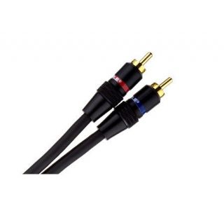 Monster Cable BI2002M Standard 200 Audio Cable 6 —