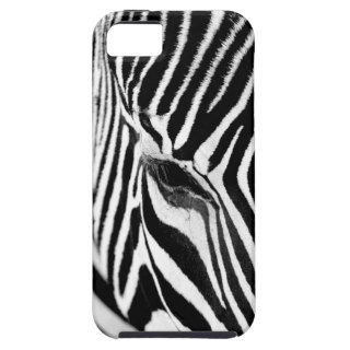 Zebra Profile iPhone 5 Cover