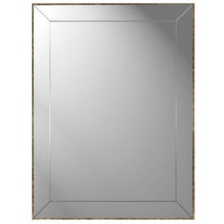 Paragon 40 H x 30 W Modern Reflections Contemporary Wall Mirror