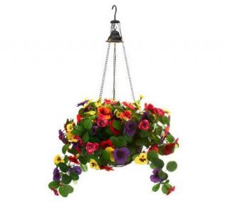 As Is Bethlehem Lights Pansy Basket with Accent Light —