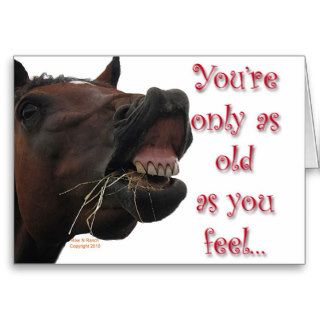 Old as You feel funny horse Greeting Cards