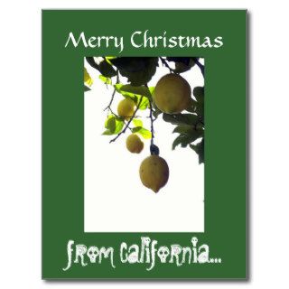 California Christmas Postcard