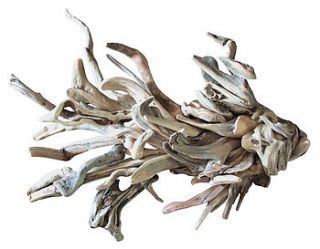 driftwood fish sculpture by karen miller @ devon driftwood designs