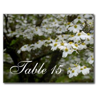 Dogwood Tree Blooms Country Wedding Table Number Post Card