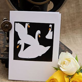 swans card by claire close