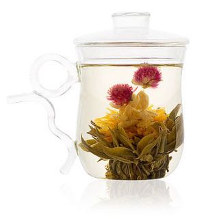 glass infuser mug by the exotic teapot