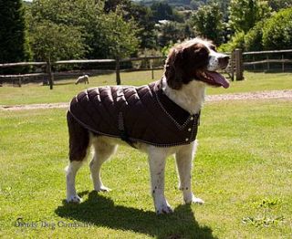 quilted dog coat by the dandy dog company