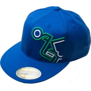 Oakley Retro Flex Fit Hat   Baseball Caps