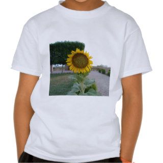 Cool Retro Trendy Hakuna Matata Gifts Sunflower de T Shirt