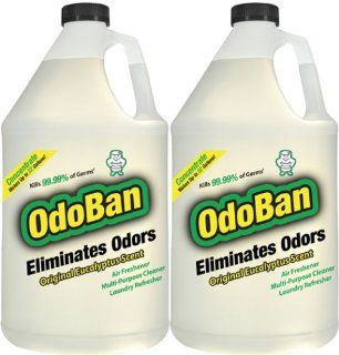 OdoBan Odor Eliminator 2 Gallons Concentrate Makes Up To 64 Gallons   Multipurpose Cleaners