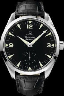 Omega Seamaster Aqua Terra Railmaster XXL Chronometer 221.53.49.10.01.002 Uhren