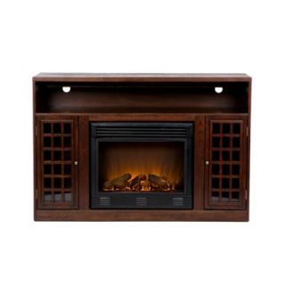 Indoor Electric Fireplace and TV Media Console S