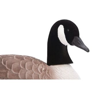Hard Core Shell Canada Goose Finish 12 Pack 428280