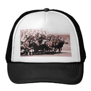 Chocolate Horse Race Hat