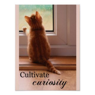 Cultivate Curiosity 12 x 16 poster