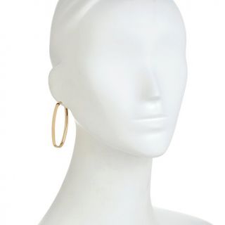 Flat Oblong Hoop Earrings