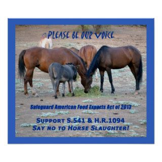 Please Be Our Voice Support S541 & HR1094 Print