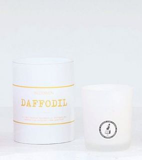 'daffodil' artisan candle by blodwen general stores
