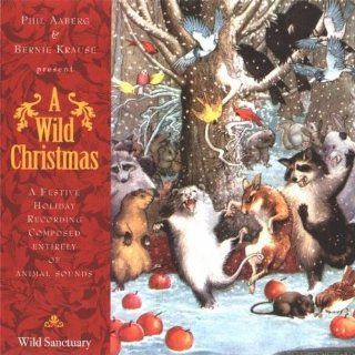 Wild Christmas Music