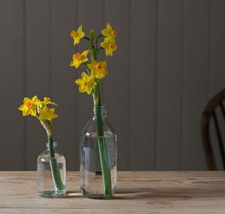 little and large vintage style buddy bottles by the flower studio