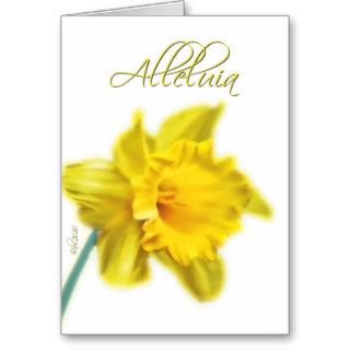 alleluia he is alive daffodil happy easter cards