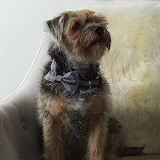 tiny checks bow tie dog collar by mrs bow tie