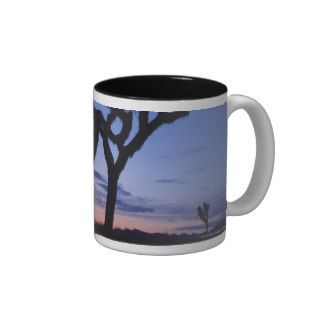 Joshua Tree National Park at sunset , California Mug